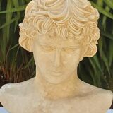 Plaster and marble bust
