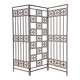 Screen partition wall made of glass and wrought iron