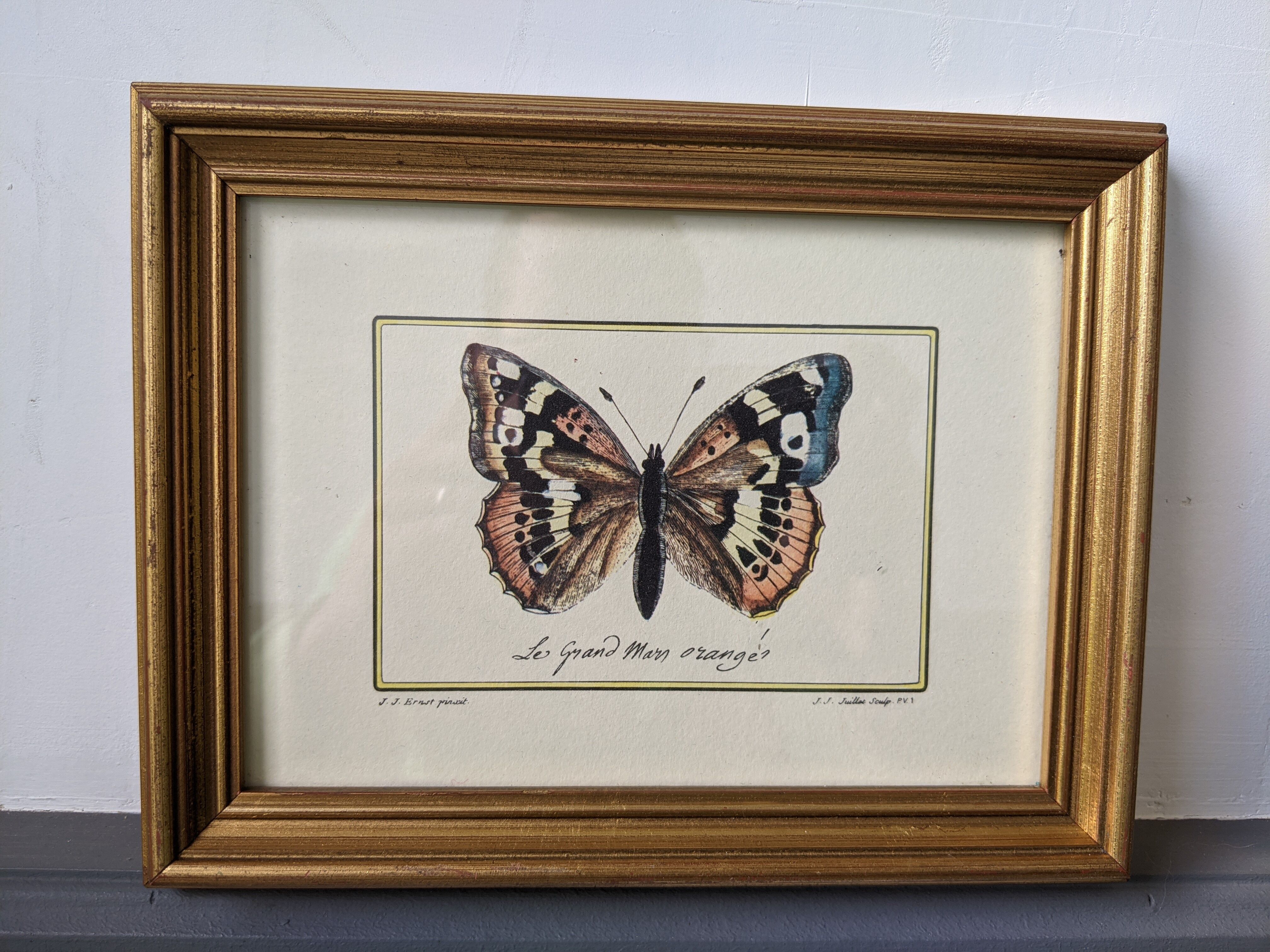 Lot of two old frames with butterflies
