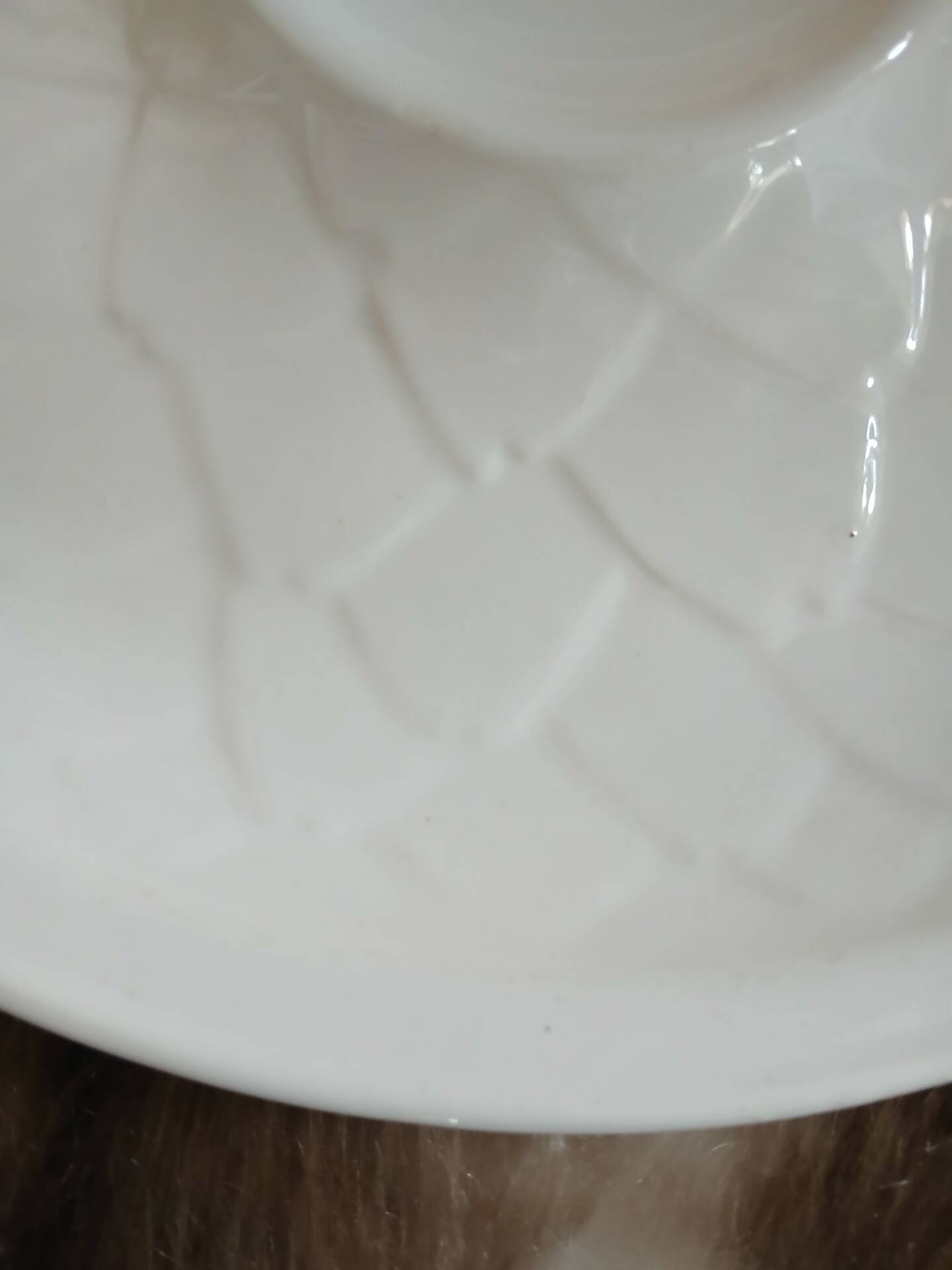 5 antique flat plates in majolica