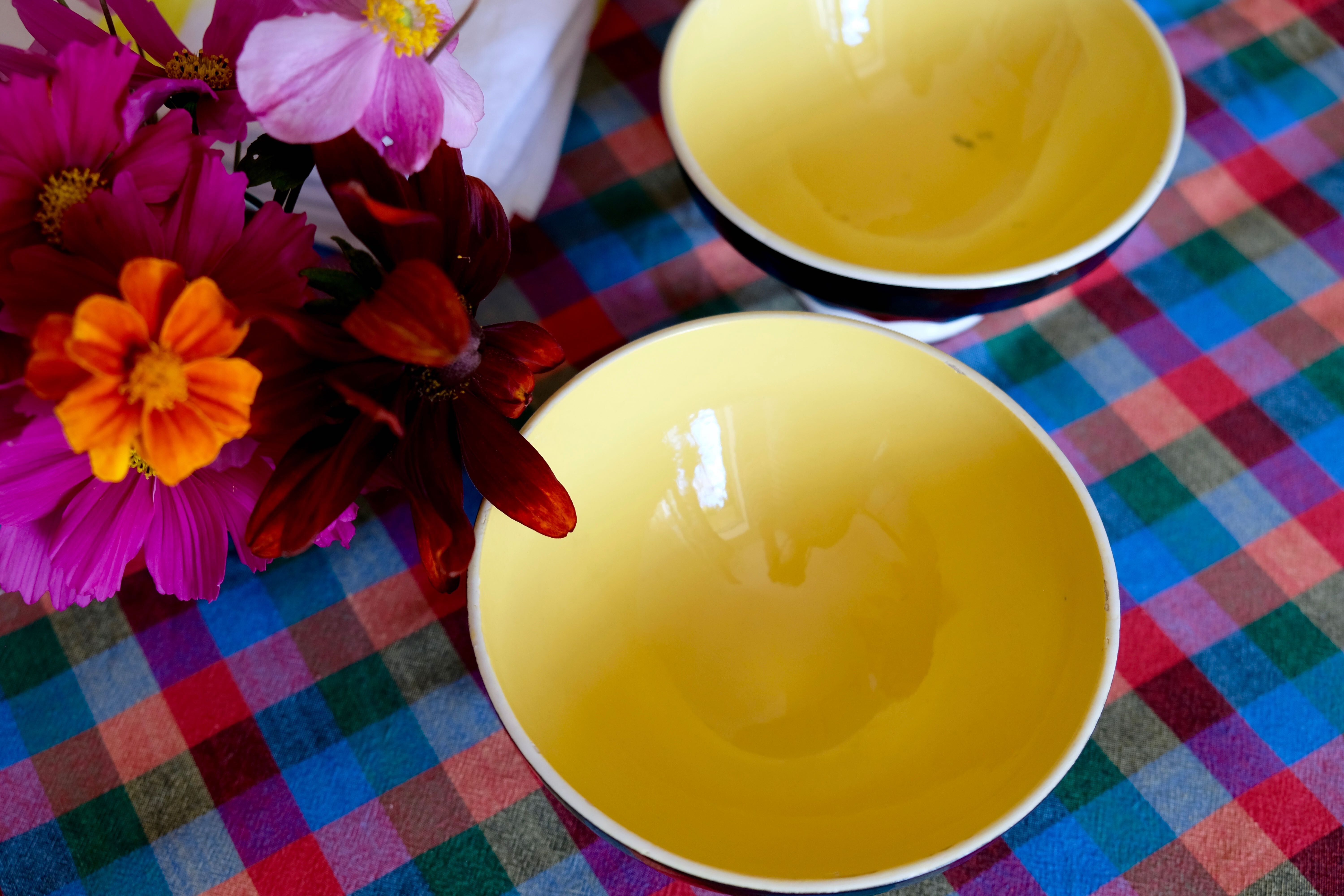 Set 2 bowls Digoin Sarreguemines