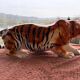 Tiger, Italian sculpture in glazed ceramic.