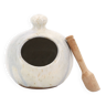 White ceramic salt pot and wooden spoon