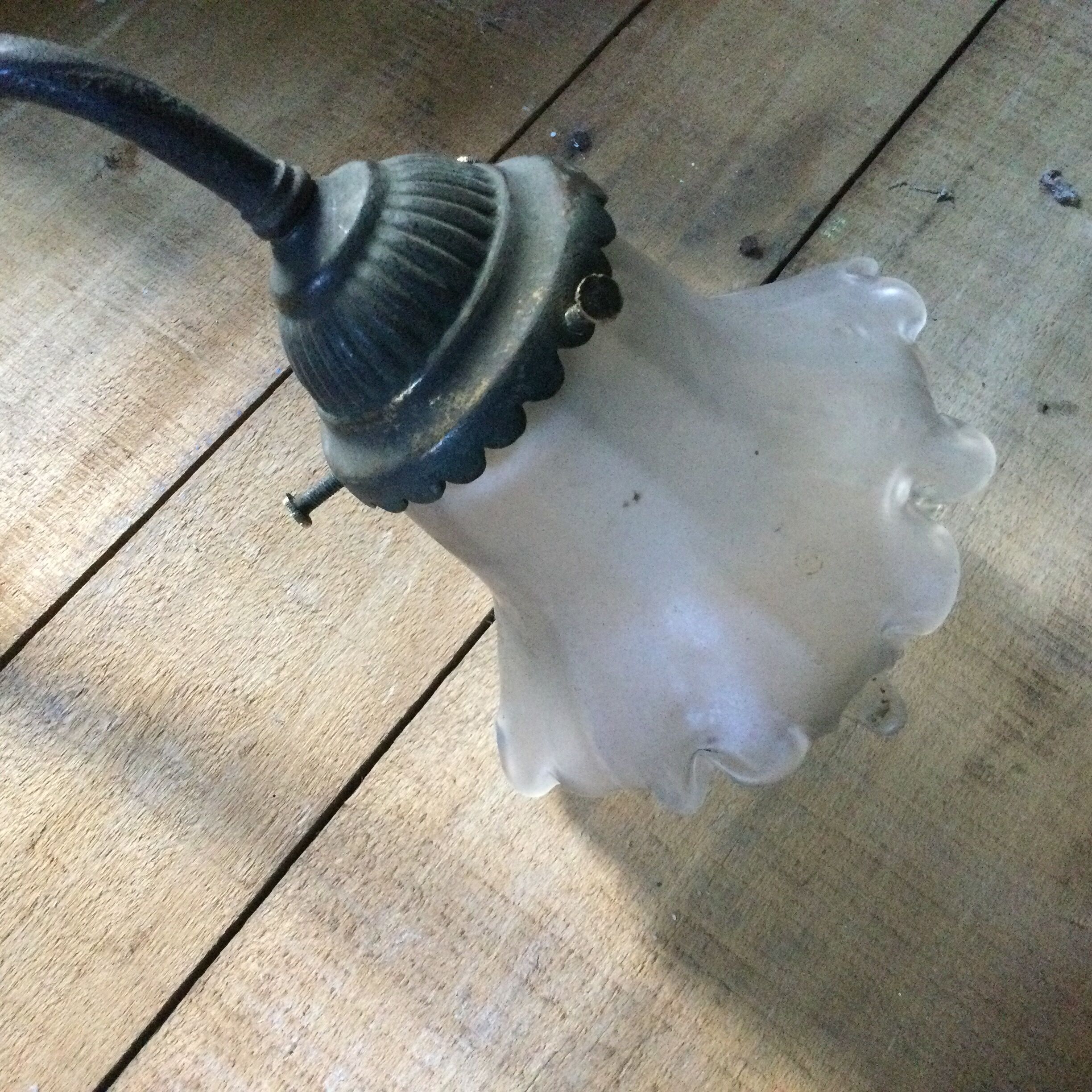 Antique wall lamp and tulip