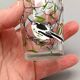 5 small vintage silkscreened bird motif GLASSES 1960/70
