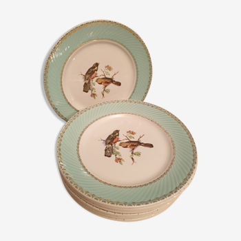 Suite de 9 assiettes plates aux oiseaux