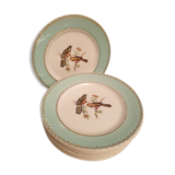 Suite of 9 flat bird plates