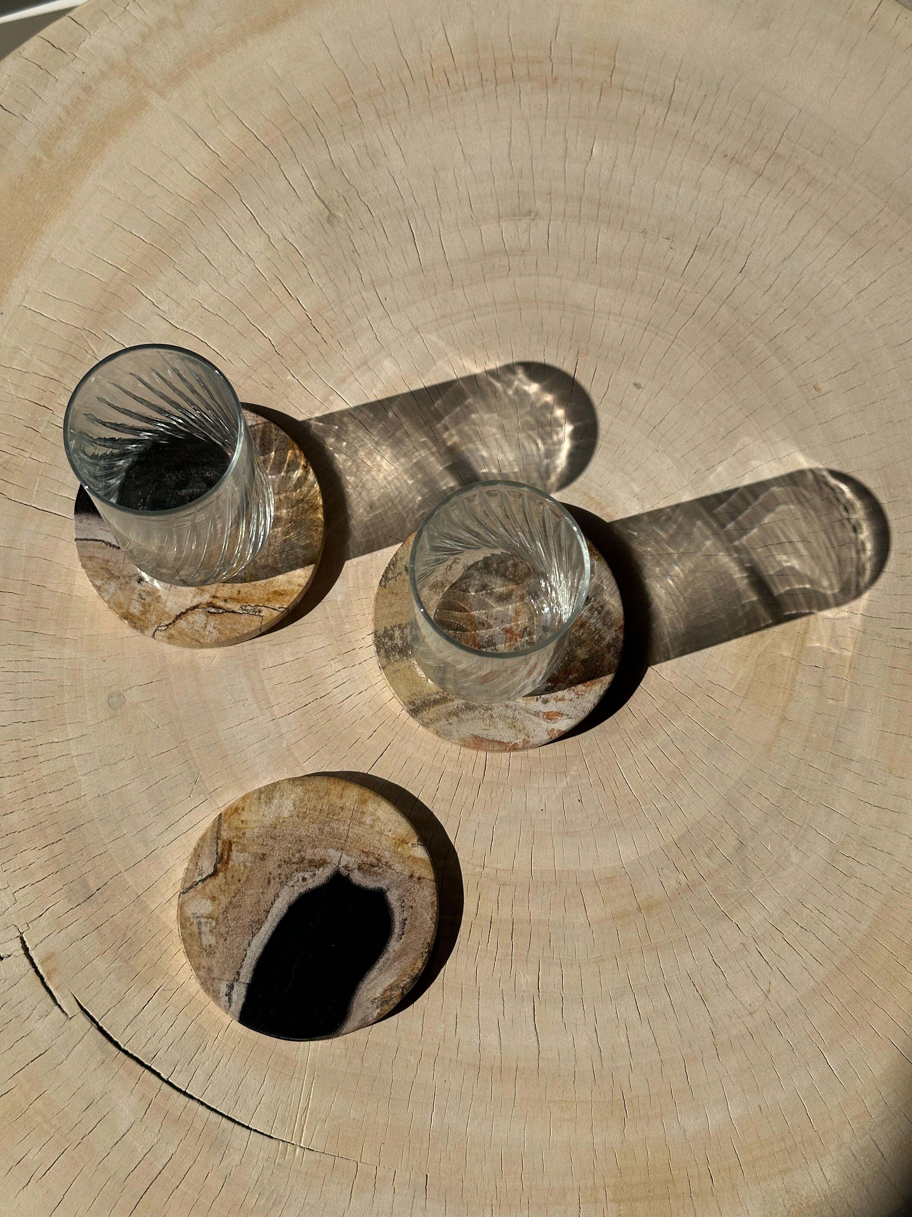 Set of 3 fossilized wooden coasters (clear)
