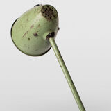 Industrial midcentury table lamp in green, 1960s