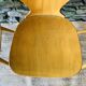 Set of 4 Baumann bistro chairs, Ant model