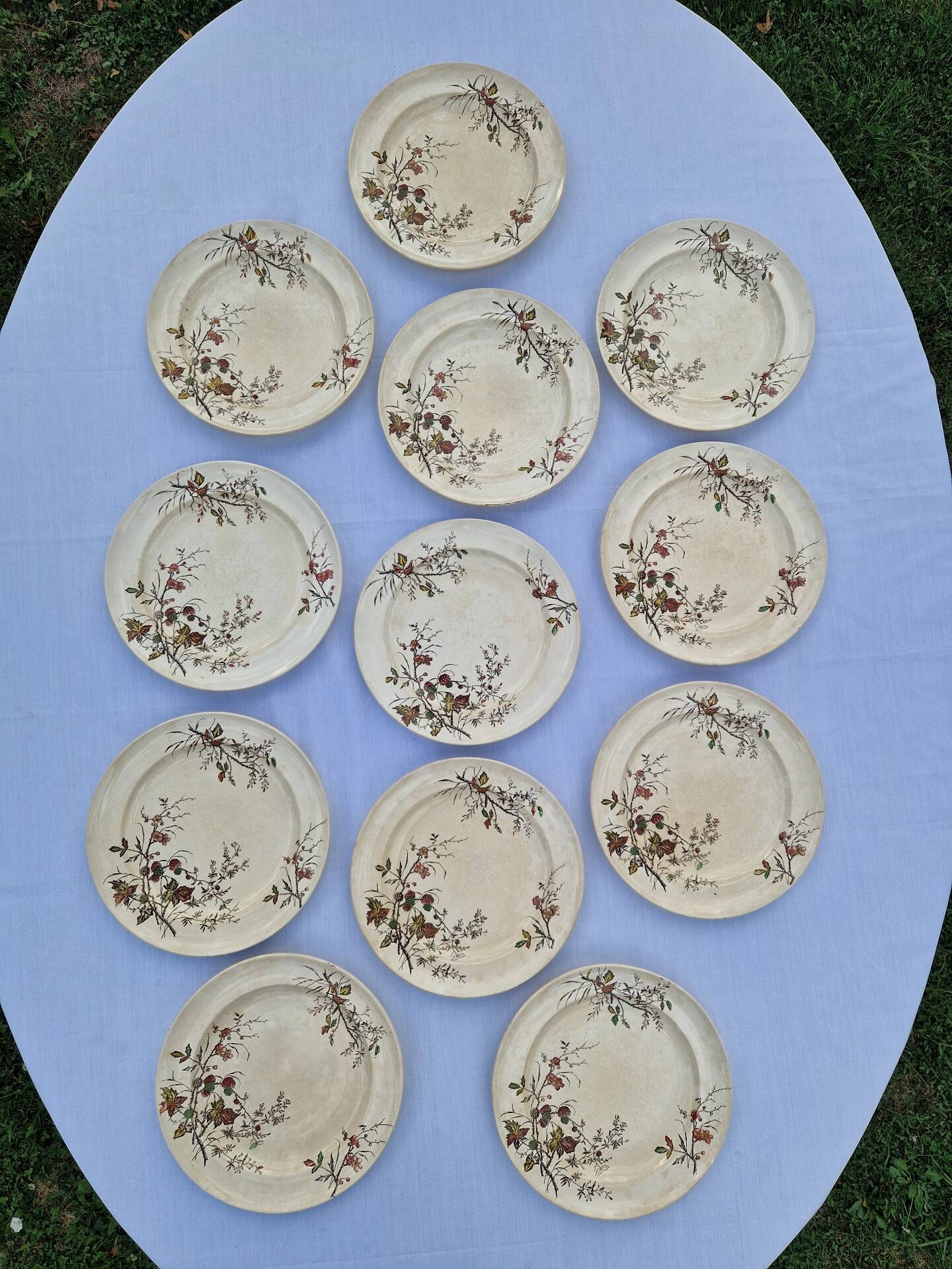 Set of 12 Terre De Fer Plates Manufacture Moore & Co Model Como