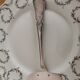 Silver metal cake shovel