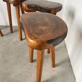 Set of 5 olive tree tripod stools from the 50s