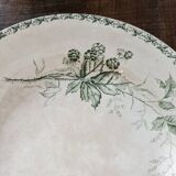 Plat ancien