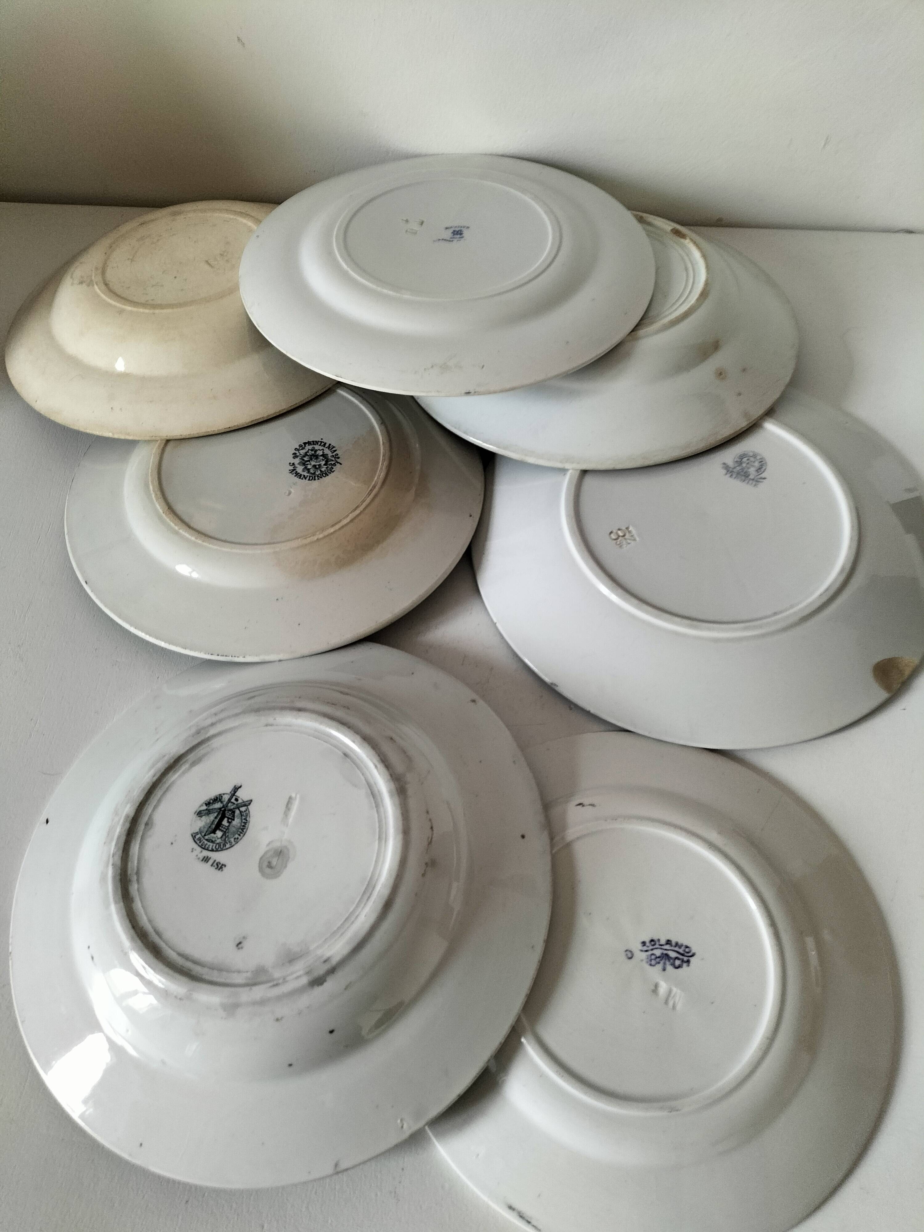 Set of 7 ironstone plates with floral friezes from the late 19th to early 20th century.