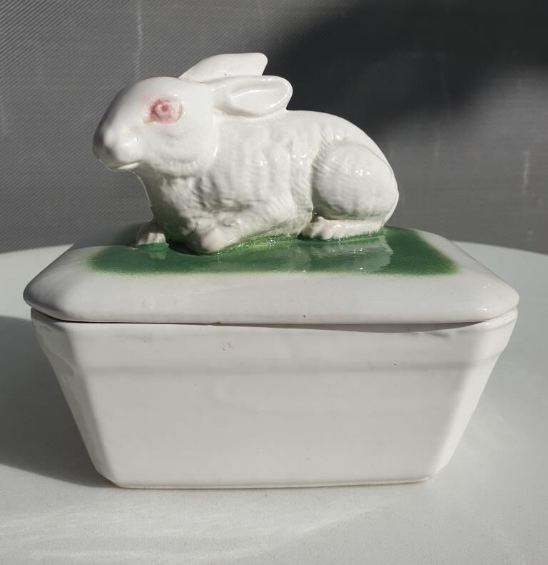Pot terrine rabbit of Bavent in white earthenware on square of greenery