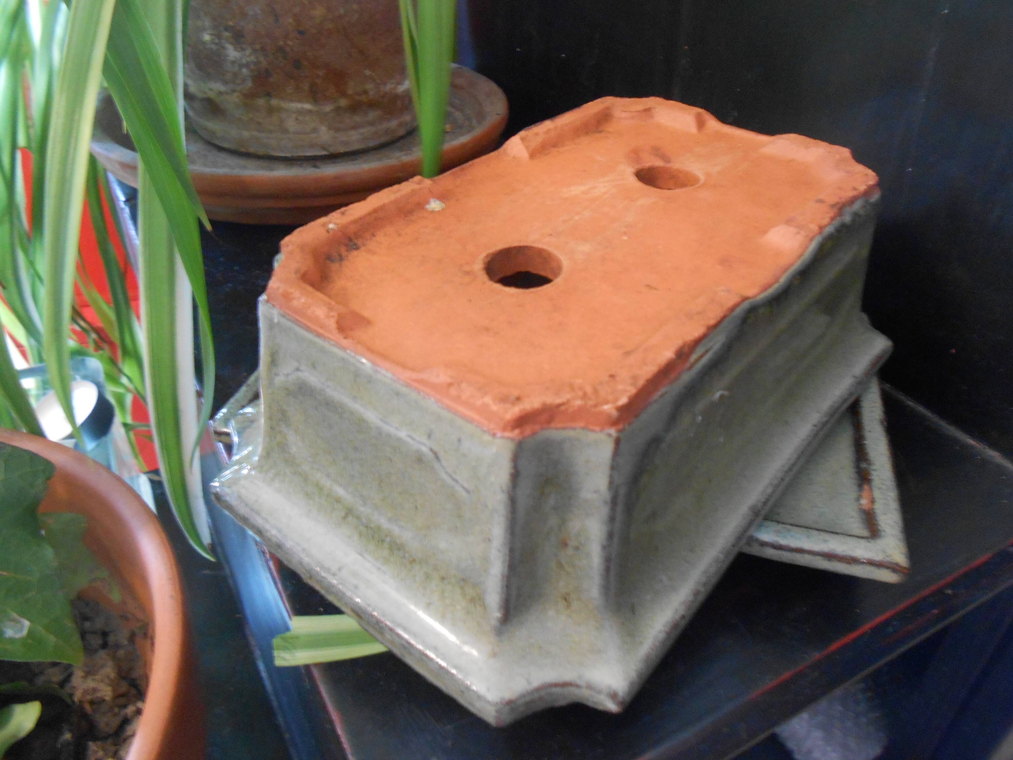 Small terracotta planter