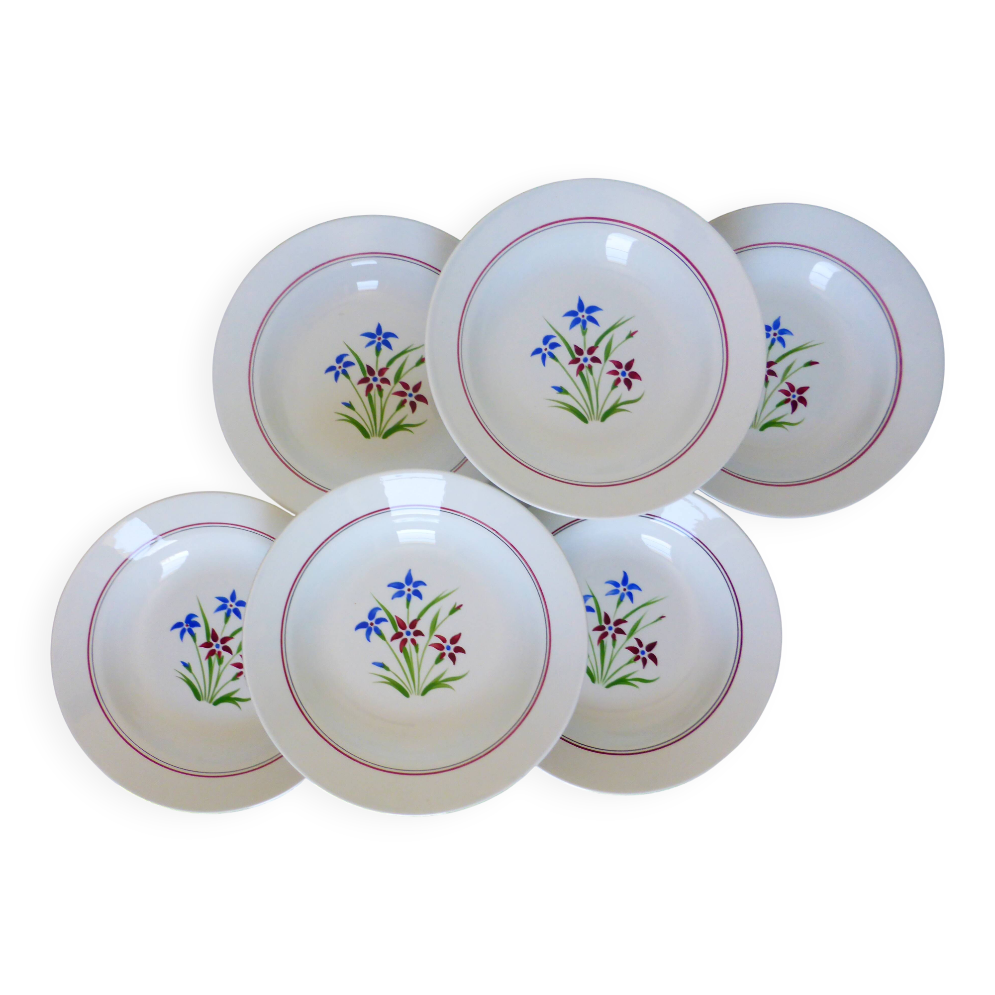 6 deep plates from Salins model Lily 2106202