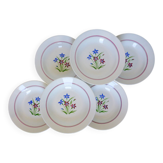 6 deep plates from Salins model Lily 2106202