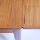 Scandi Dining Table Extendable Teak XL, 1960s
