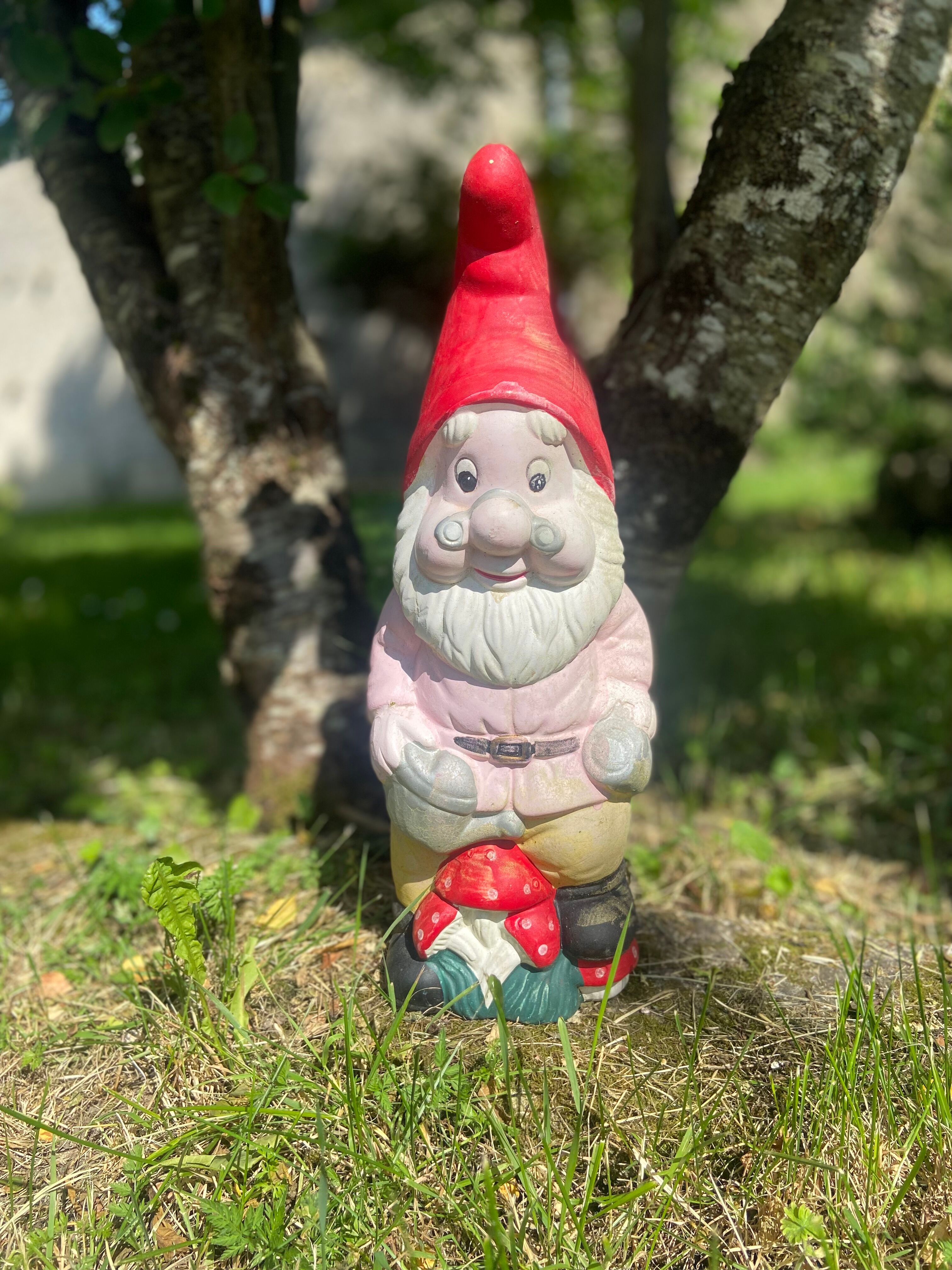 Garden gnome, terracotta