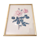 Illustration flower pink frame gilded wood