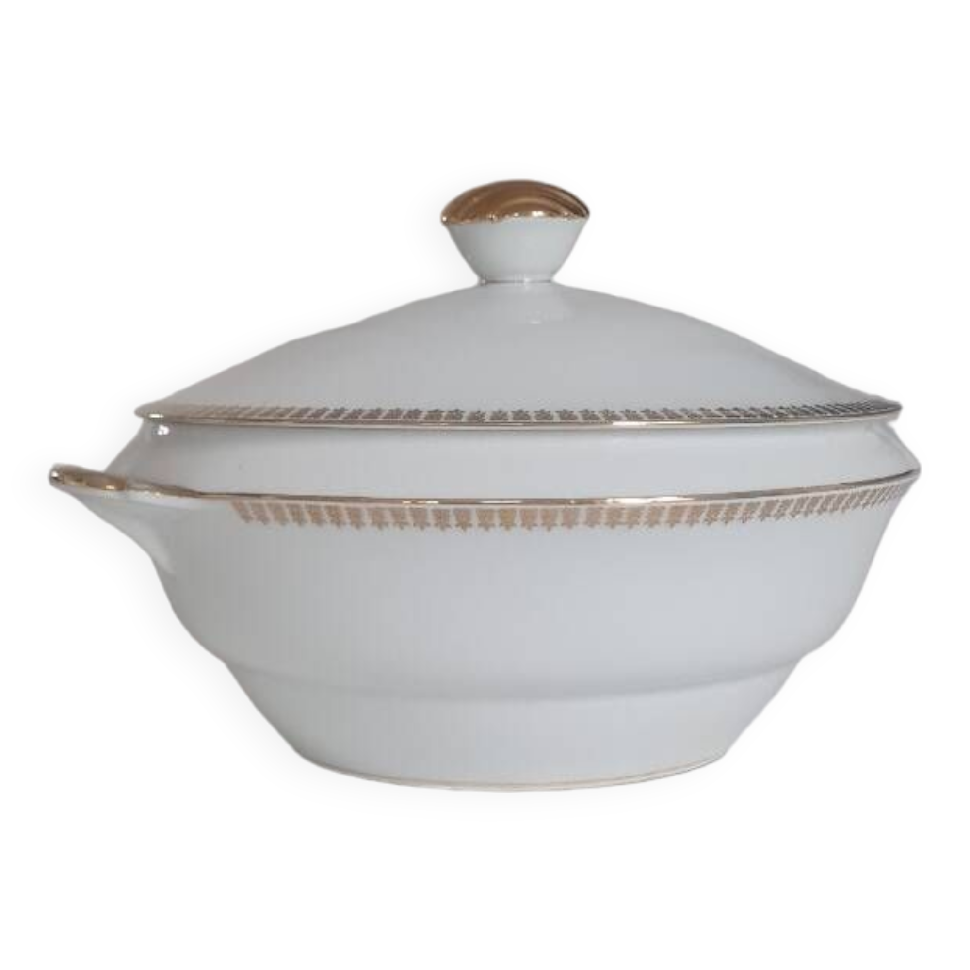Limoges porcelain tureen