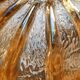 Duo of glass sconces