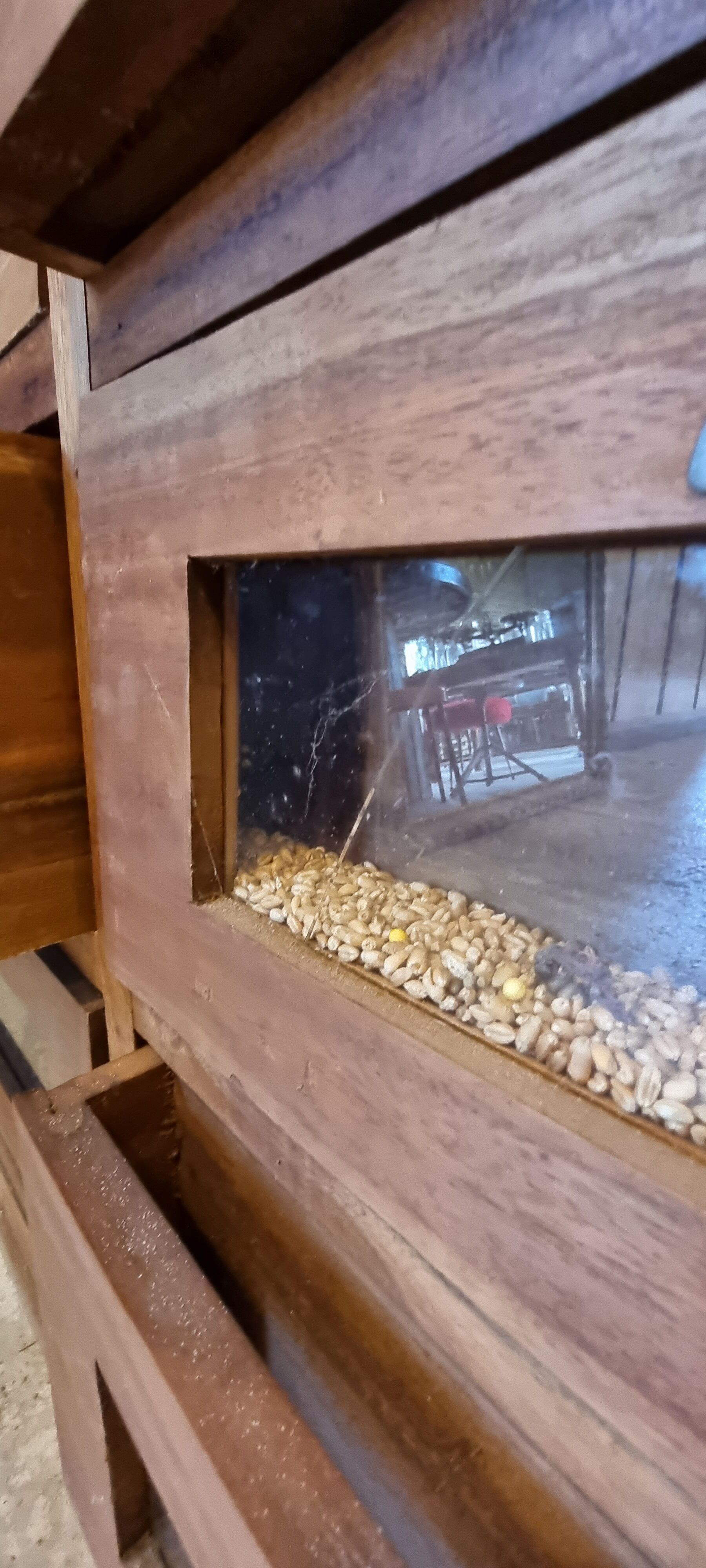 Meuble by trade (grain maker)