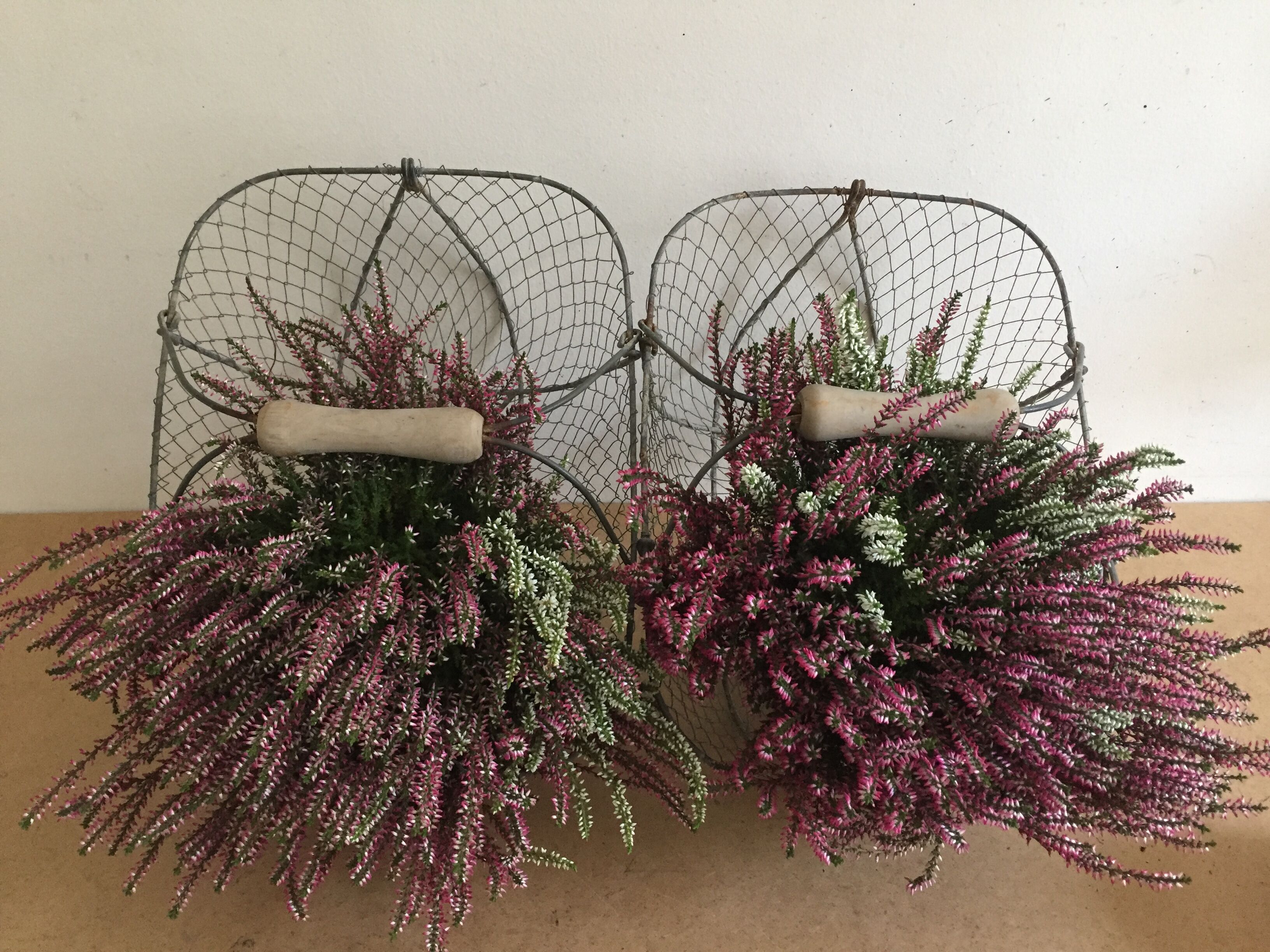 Screened basket for decoration or garden