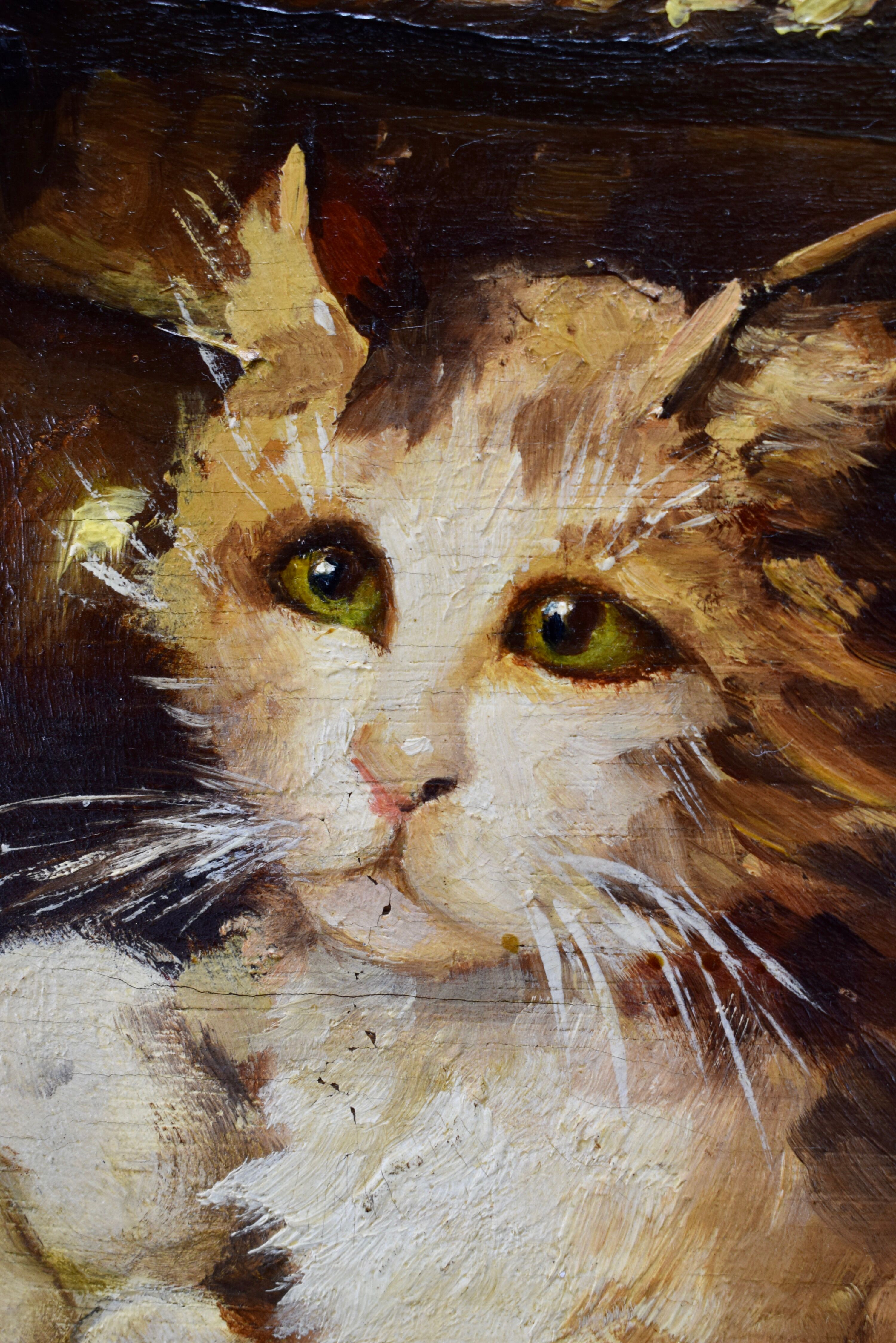 Oil painting on panels kitten playing by Leon Huber