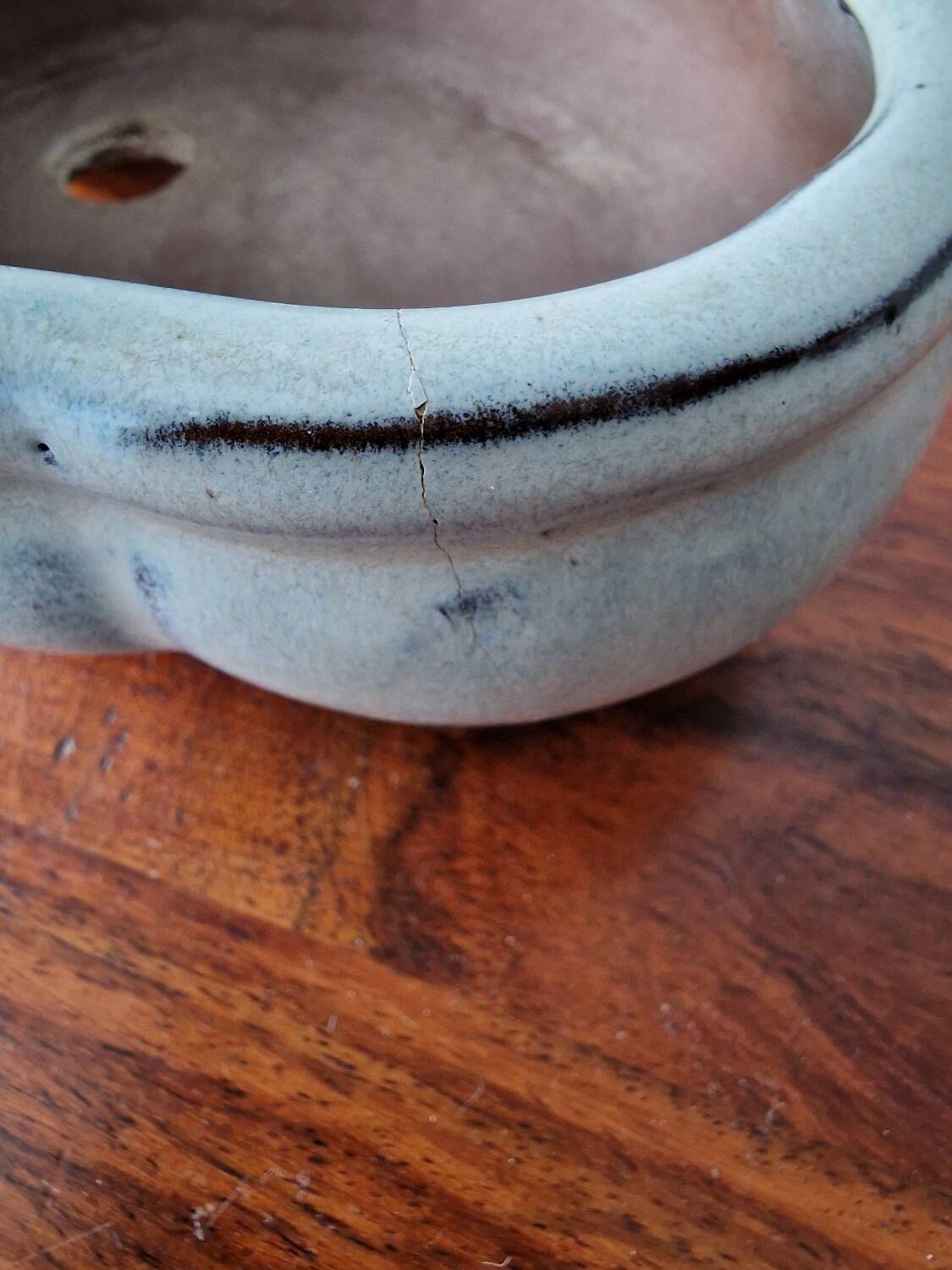 Pot à bonzai