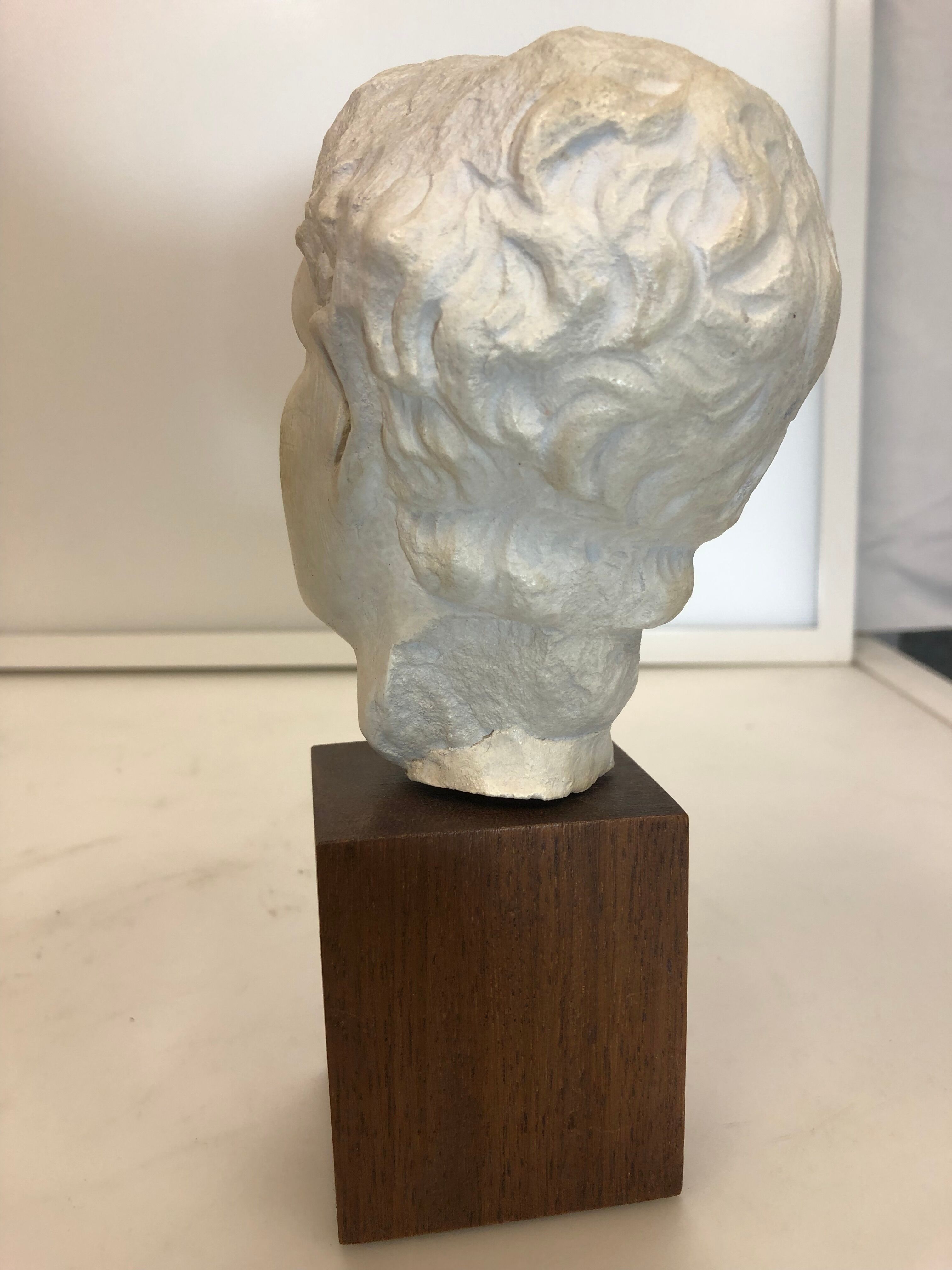 Statue bust roman man