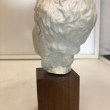 Statue bust roman man