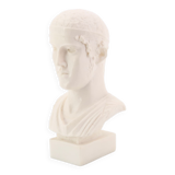 Bust of the Charioteer of Delphi