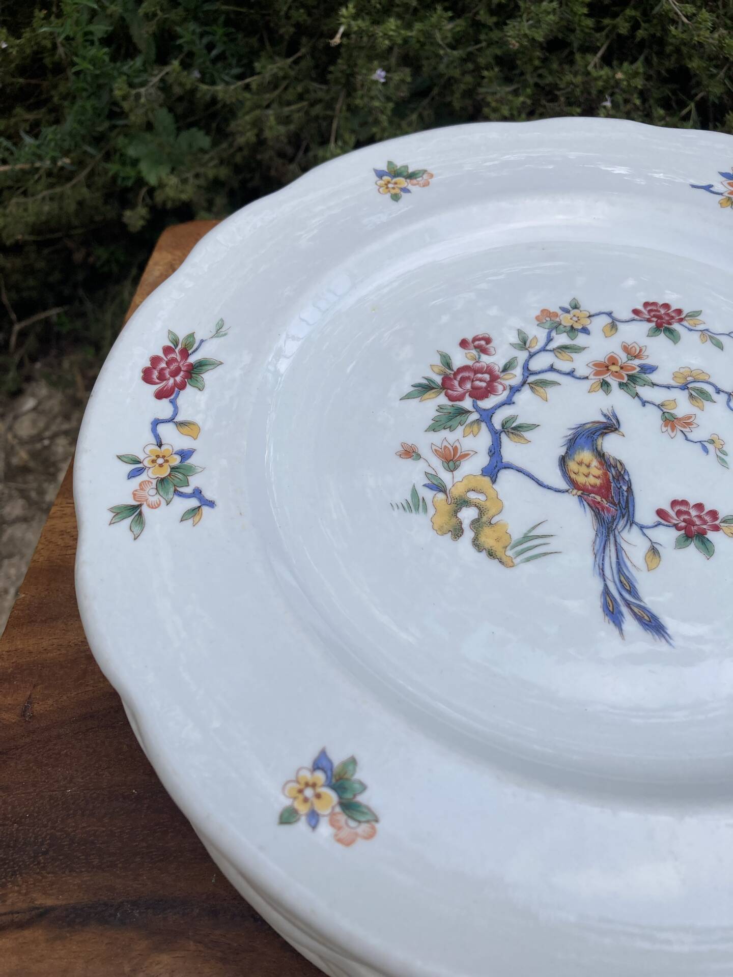 Flat plates with scalloped edges Sarreguemines bohemian chic
