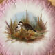 Hand-painted plates