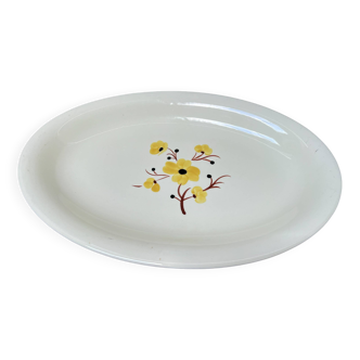 Salins earthenware dish