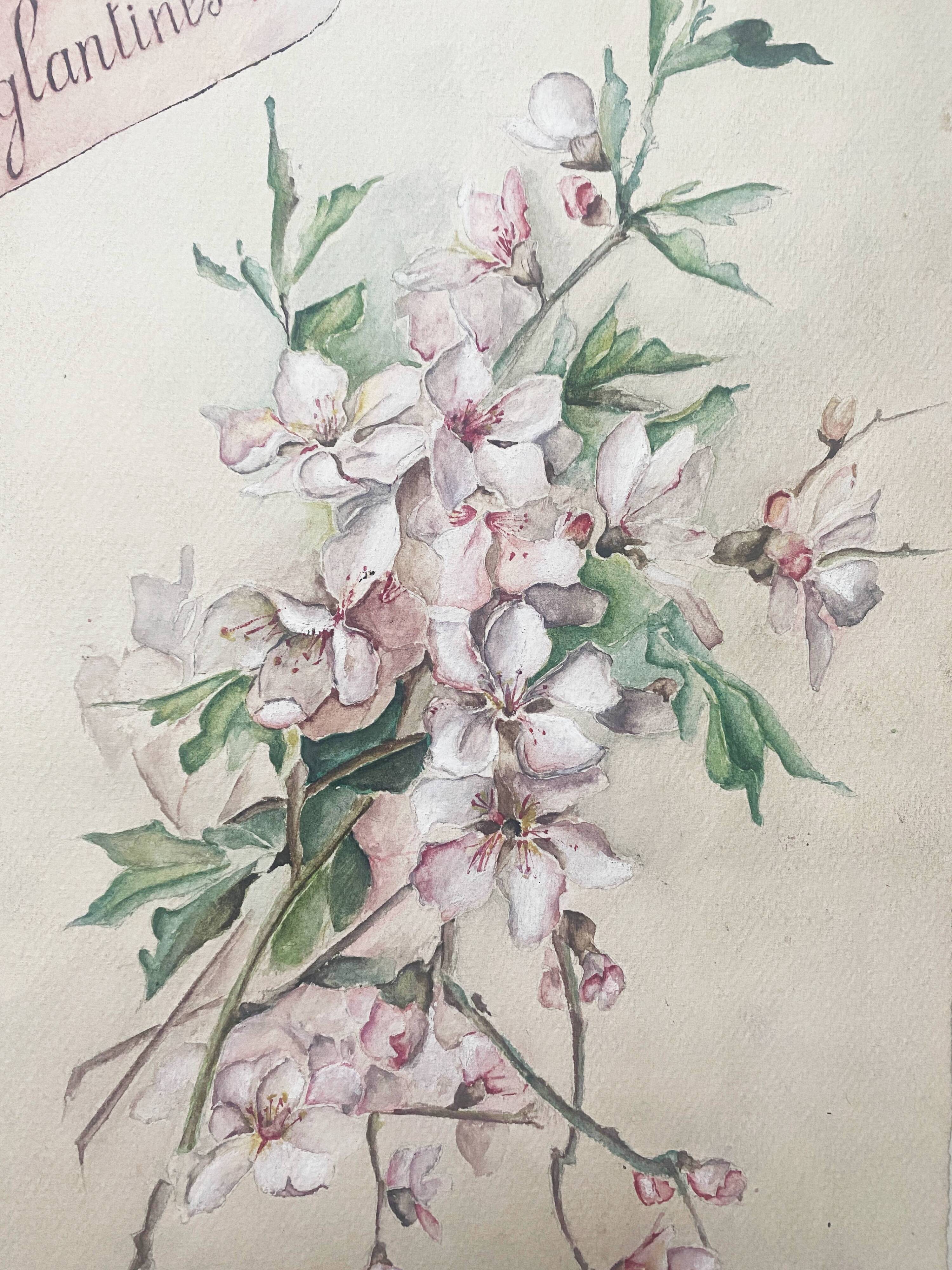 Watercolor painting "Bouquet of Eglantines" signed around 1900 on Vidalon paper