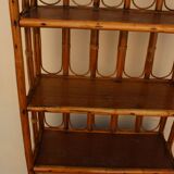 Bookcase in rattan and canning