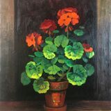 Geraniums