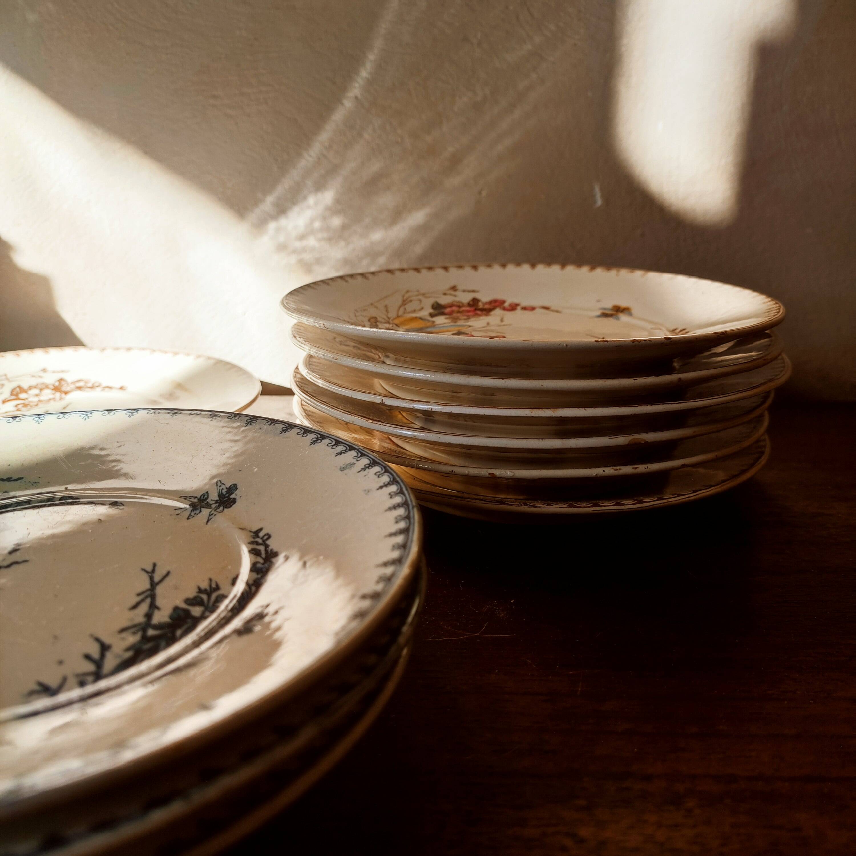 10 Lunéville earthenware plates, "Mésanges" pattern