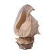 Lampe coquillage