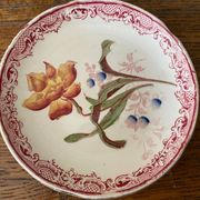 2 cups Sarreguemines U&C in fine earthenware decorations yellow and blue flowers