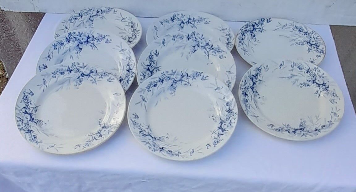 8 flat earthenware plates Creil and Montereau late nineteenth diam 23 cm