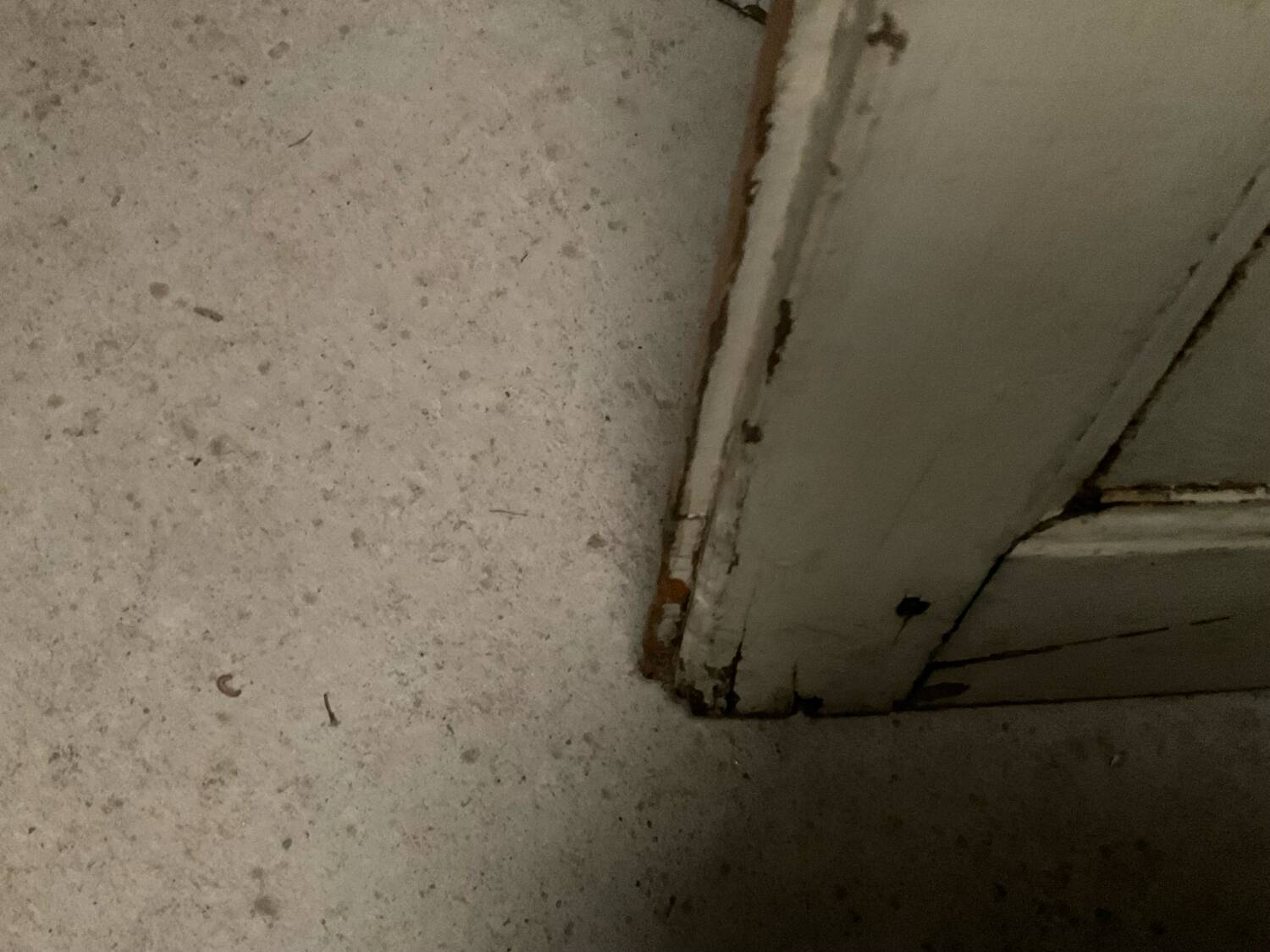 Old glass door L 92 x H 205