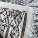 Large kilim vintage in the soft tones  205x320cm