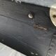 XXL wood trunk case