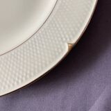 14 assiettes plates SALIN