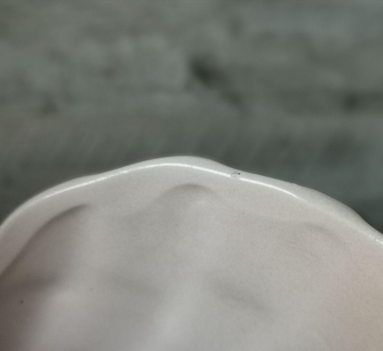 Swan Rigon Roberto Italy